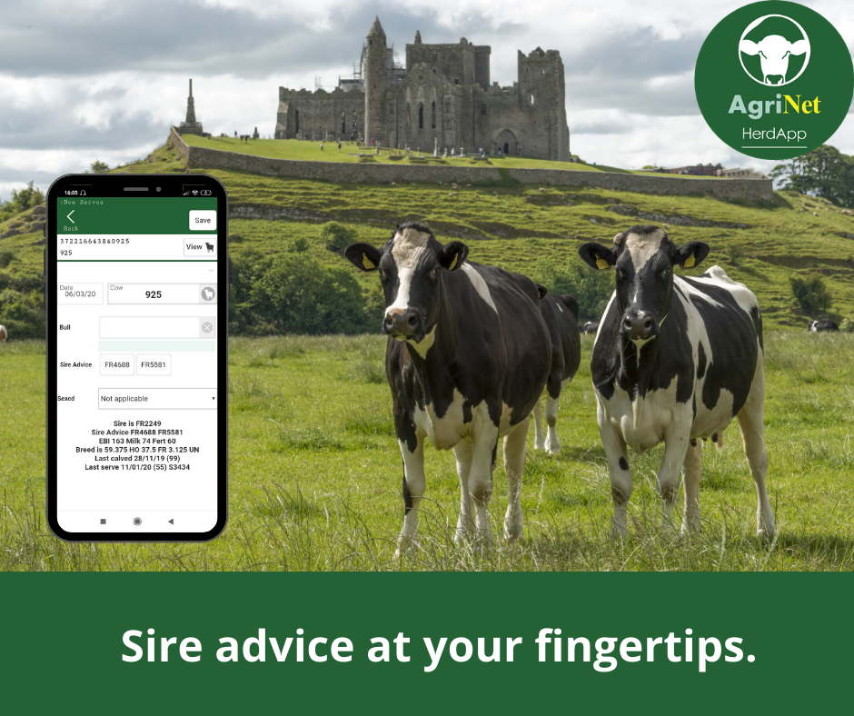 Sire advice at your fingertips.png